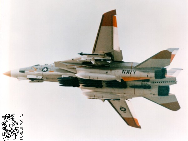 f14-detail-ironbombs-04l.jpg