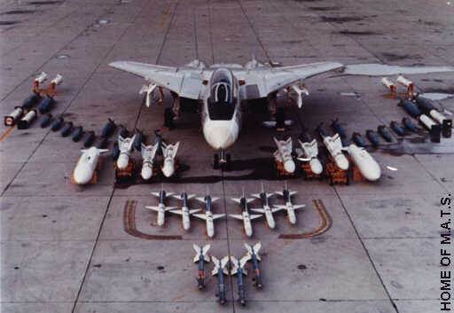 f14-detail-weapons-01l.jpg