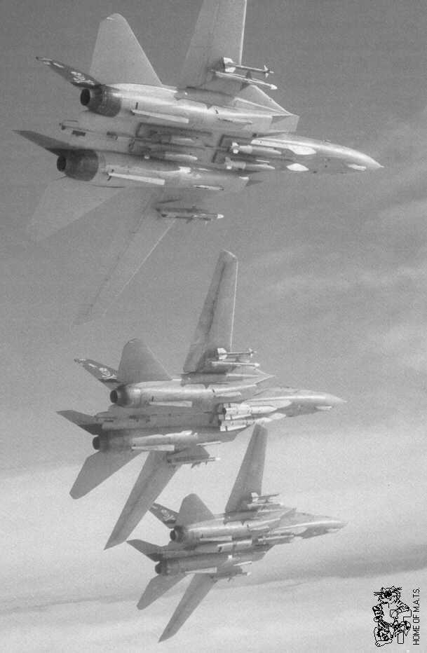 HOME OF M.A.T.S. - The most comprehensive Grumman F-14 Reference Work ...