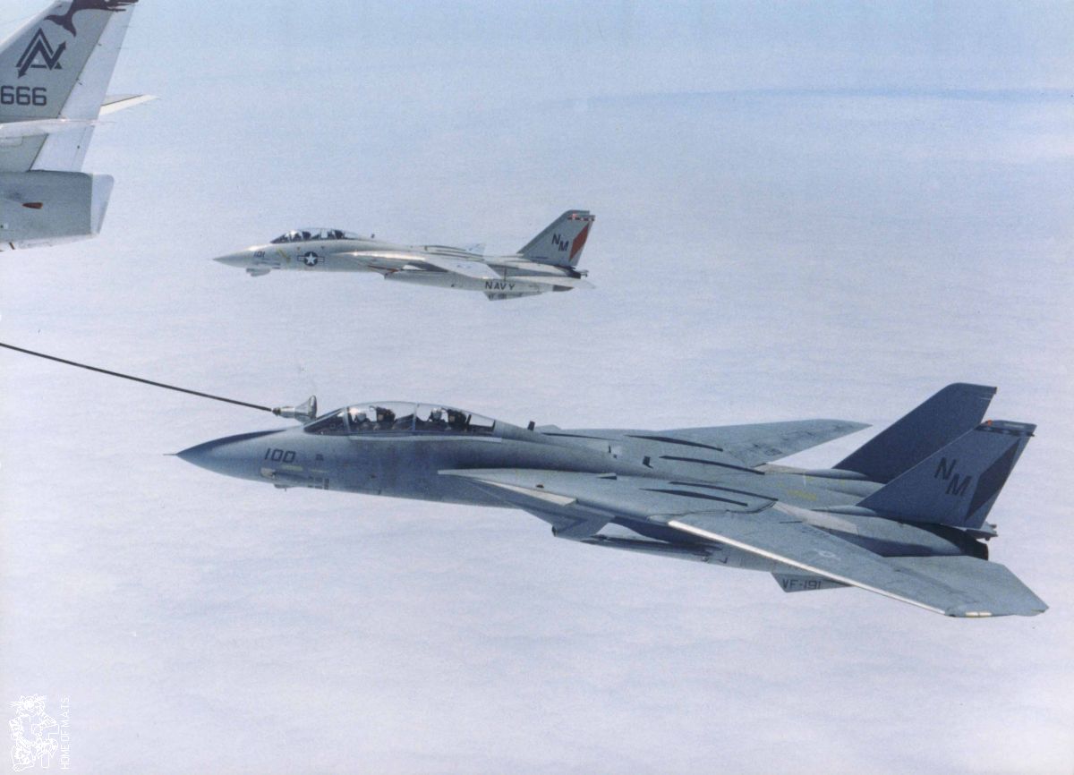 HOME OF M.A.T.S. - The most comprehensive Grumman F-14 Reference Work ...