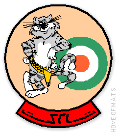 f14-squadron-logo-iiaf.gif