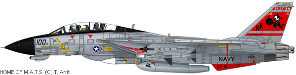 Terebo 1/100 USAF F-14D VF-31 Tomcatters CVW-14 CVN-74 USS John C Stennis NK101 