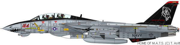 f14-squadron-vf101-06.jpg