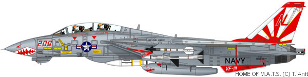 f14-squadron-vf111-01.jpg