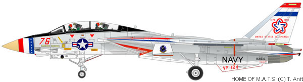 f14-squadron-vf124-01.jpg
