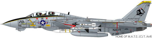 f14-squadron-vf142-02.jpg