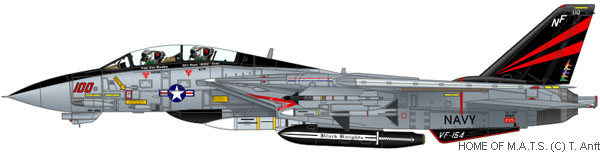 f14-squadron-vf154-02.jpg